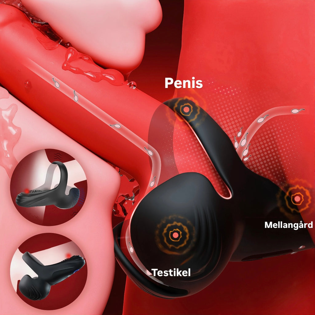 NORVAÉ™ PrimePuls