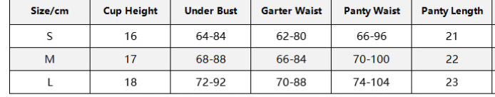 Black Embroidered Garter Lace Sexy